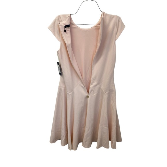 NWT Tommy Hilfiger Dress 6 Powder Pink Fit & Flare Pleated Cap Sleeve Above Knee - Picture 3 of 5